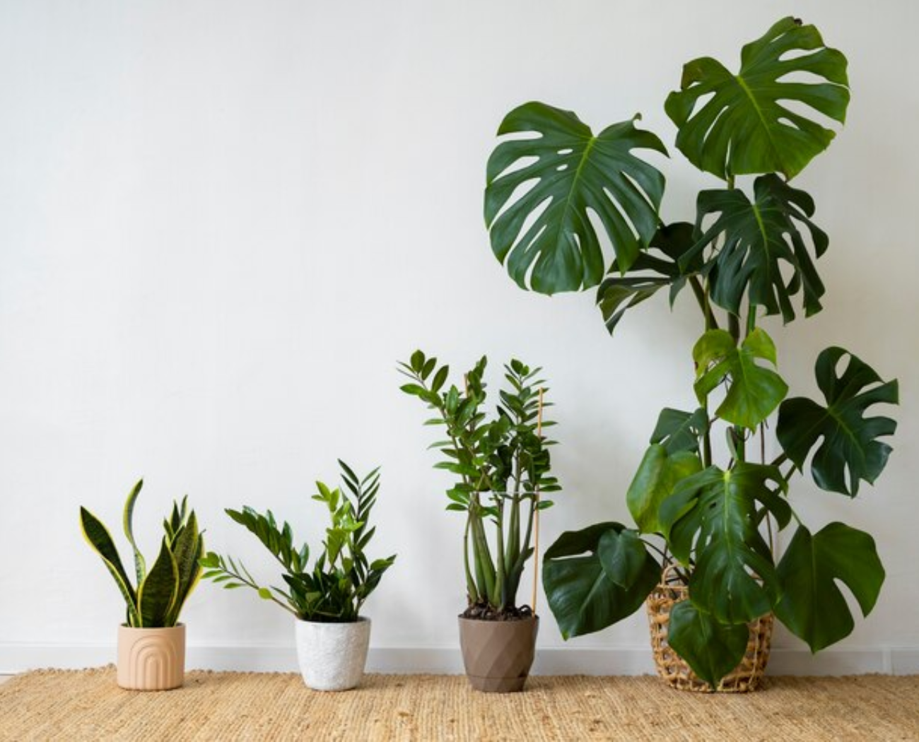 indoor